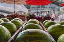 Hutchinson: fruit, watermelon, melons