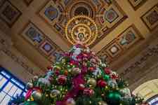 Hutchinson: tree, Christmas tree, tall christmas tree