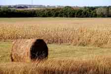 Hutchinson: Kansas, rural, hay