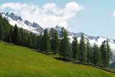 South Hutchinson: forest, mountains, alps