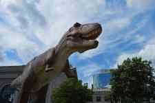Hutchinson: dinosaur, dinosaur exhibit, dinosaur display