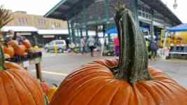 Hutchinson: fall, pumpkins, gourds