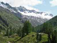 South Hutchinson: nature, mountains, alps